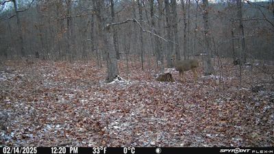 PICT1178.JPG