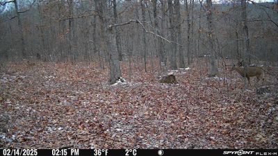 PICT1194.JPG