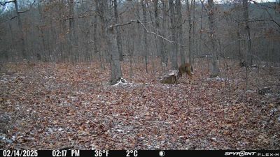 PICT1195.JPG