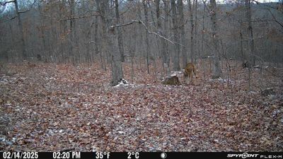 PICT1197.JPG