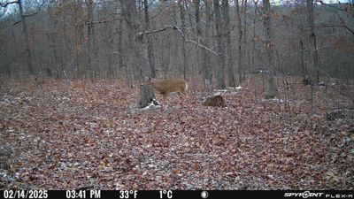 PICT1204.JPG