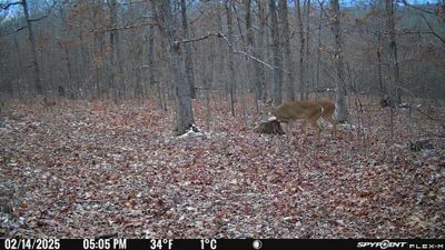 PICT1221.JPG