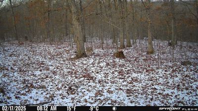 PICT1257.JPG