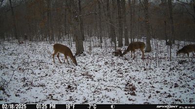 PICT1301.JPG