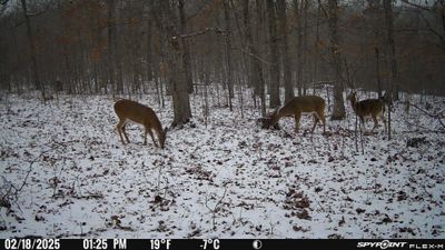 PICT1302.JPG