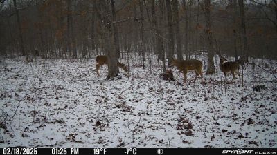 PICT1303.JPG