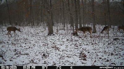 PICT1304.JPG