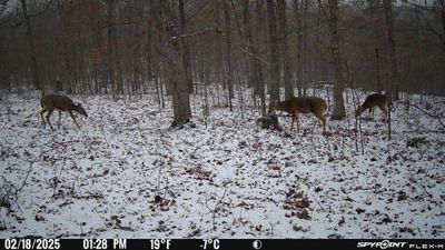 PICT1305.JPG