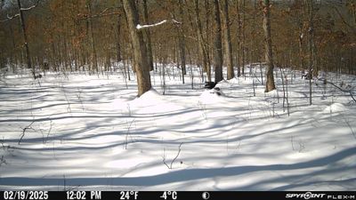 PICT1306.JPG