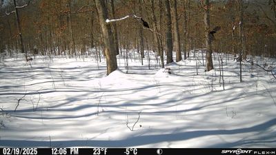 PICT1307.JPG