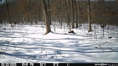 PICT1338.JPG