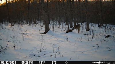 PICT1342.JPG