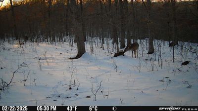 PICT1343.JPG