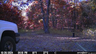 PICT0546.JPG