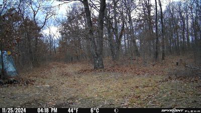 PICT0785.JPG