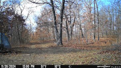 PICT0938.JPG