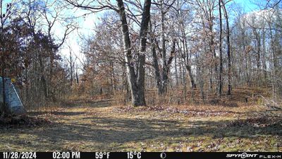 PICT0939.JPG