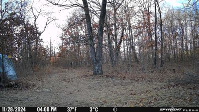 PICT0941.JPG