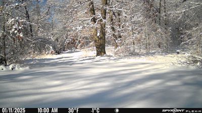 PICT0977.JPG