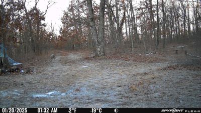 PICT0984.JPG