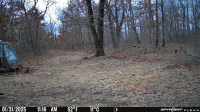 PICT1034.JPG