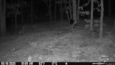 PICT1271.JPG
