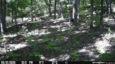 PICT1309.JPG