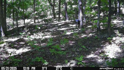 PICT1311.JPG