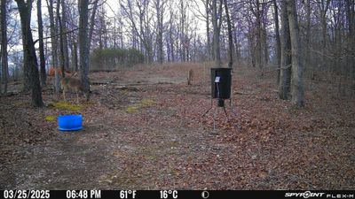 PICT0711.JPG