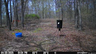 PICT1021.JPG