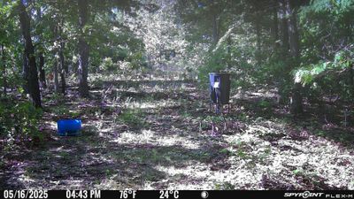 PICT1131.JPG
