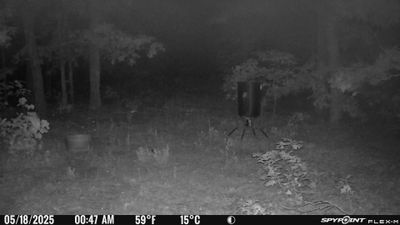 PICT1141.JPG