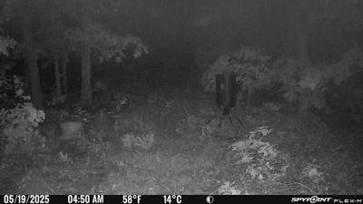 Cam3