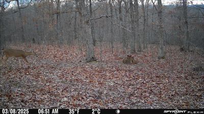 PICT1121.JPG