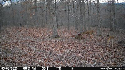 PICT1122.JPG