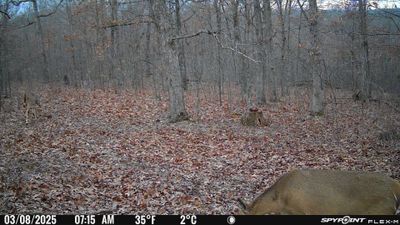 PICT1131.JPG