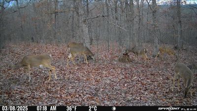 PICT1141.JPG