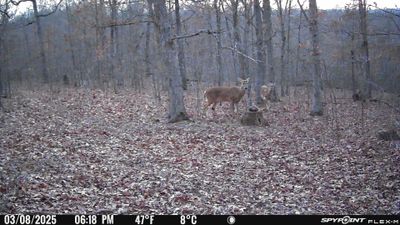 PICT1172.JPG