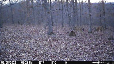 PICT1181.JPG