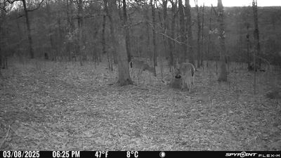 PICT1191.JPG