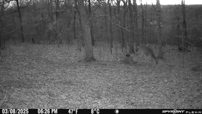 PICT1193.JPG