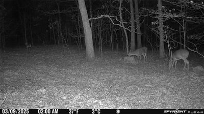 PICT1201.JPG