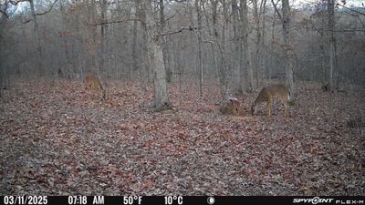 PICT1711.JPG