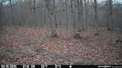 PICT2461.JPG