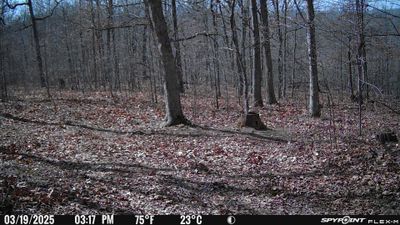 PICT2711.JPG