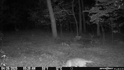 Cam6