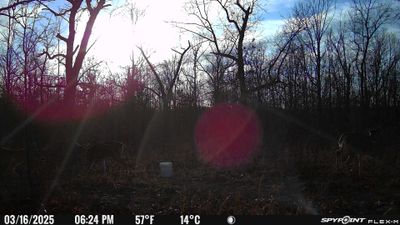PICT0909.JPG