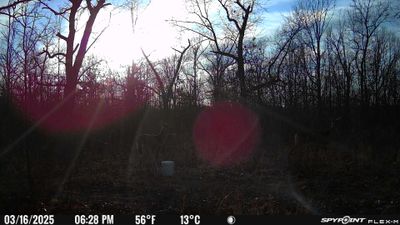 PICT0911.JPG