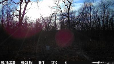 PICT0912.JPG