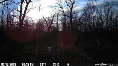 PICT0913.JPG
